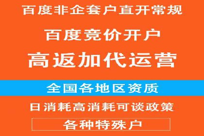 百度推广费用投入与品牌知名度提升的案例分析